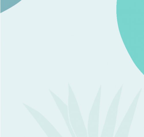 Heart disease, perimenopause and menopause Factsheet