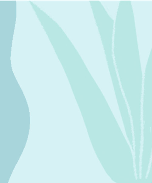 Menopause and clots Booklet