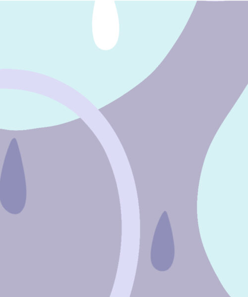 Santé mentale et bien-être émotionnel dans la périménopause et la ménopause / Mental health and emotional wellbeing in the perimenopause and menopause Booklet (French)