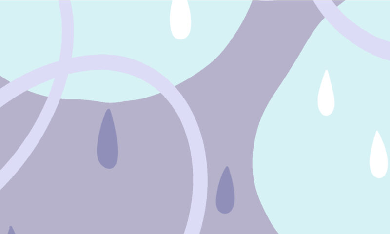 Brain fog or dementia? Factsheet