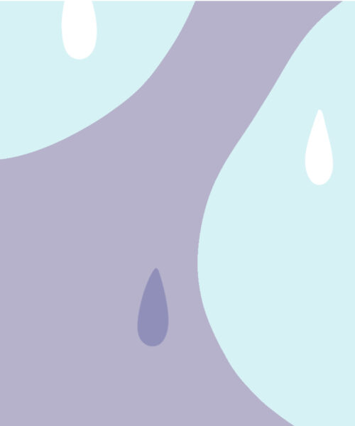 Mental helse og følelsesmessig velvære i perimenopause og overgangsalder / Mental health and emotional wellbeing in the perimenopause and menopause Booklet  (Norwegian)