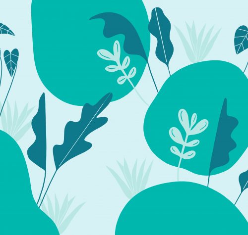 Healthy eating for the menopause Factsheet