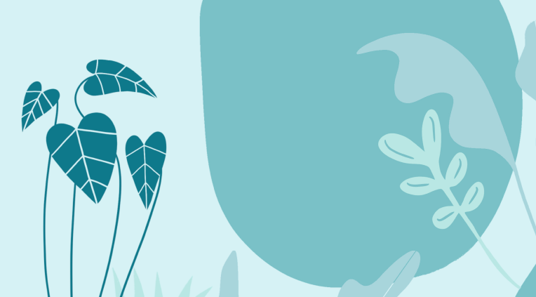 Exercising during perimenopause and menopause