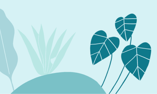 7 foods to eat more of during the menopause