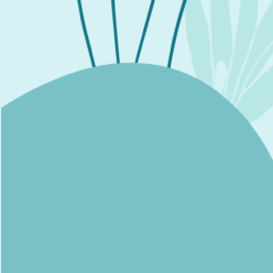 Can the Mediterranean diet help menopausal symptoms?