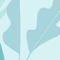 Get stronger during the menopause